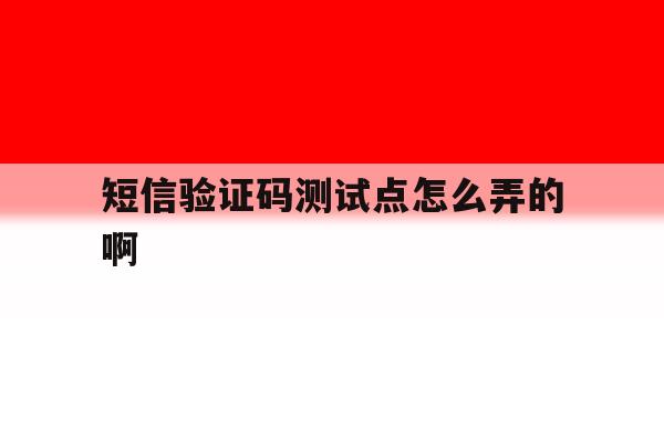 包含短信验证码测试点怎么弄的啊的词条 包含短信验证码测试点怎么弄的啊的词条
