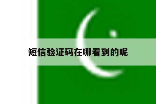 短信验证码在哪看到的呢 短信验证码在哪看到的呢
