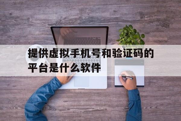 提供虚拟手机号和验证码的平台是什么软件的简单介绍 提供虚拟手机号和验证码的平台是什么软件的简单介绍