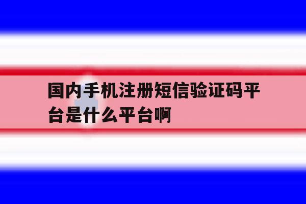 国内手机注册短信验证码平台是什么平台啊的简单介绍