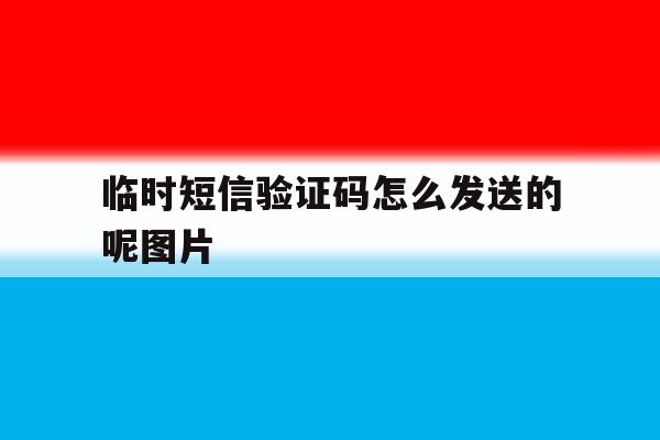 临时短信验证码怎么发送的呢图片 临时短信验证码怎么发送的呢图片