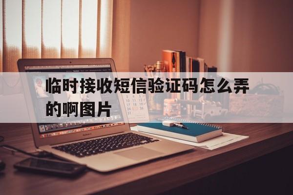 临时接收短信验证码怎么弄的啊图片 临时接收短信验证码怎么弄的啊图片