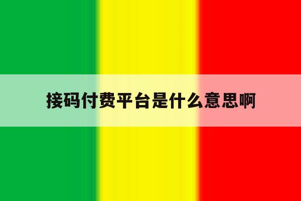接码付费平台是什么意思啊 接码付费平台是什么意思啊