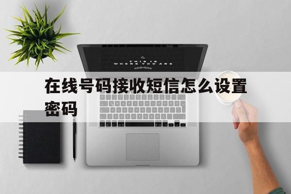 在线号码接收短信怎么设置密码 在线号码接收短信怎么设置密码
