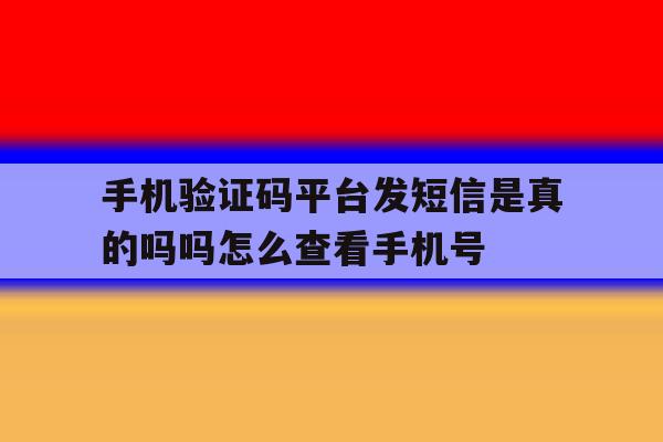 关于手机验证码平台发短信是真的吗吗怎么查看手机号的信息 关于手机验证码平台发短信是真的吗吗怎么查看手机号的信息