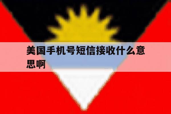 美国手机号短信接收什么意思啊 美国手机号短信接收什么意思啊