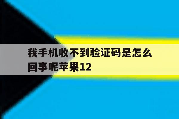 包含我手机收不到验证码是怎么回事呢苹果12的词条 包含我手机收不到验证码是怎么回事呢苹果12的词条