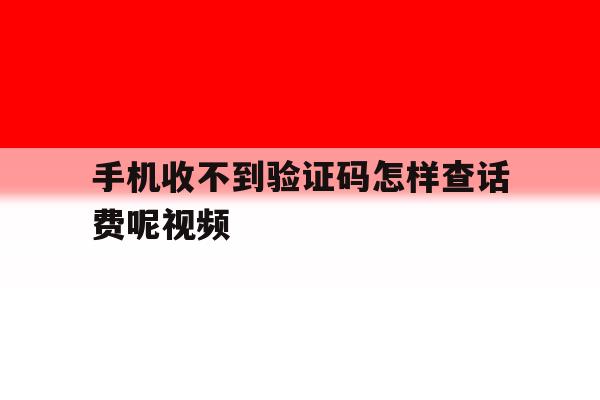 手机收不到验证码怎样查话费呢视频 手机收不到验证码怎样查话费呢视频