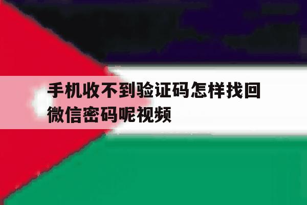 手机收不到验证码怎样找回微信密码呢视频 手机收不到验证码怎样找回微信密码呢视频