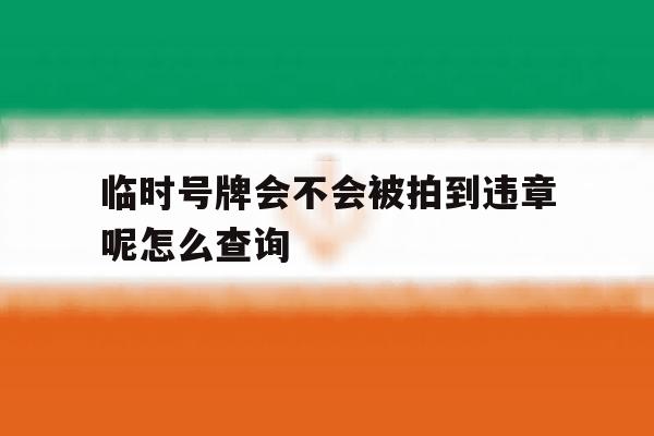 临时号牌会不会被拍到违章呢怎么查询 临时号牌会不会被拍到违章呢怎么查询