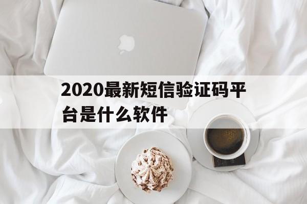 2020最新短信验证码平台是什么软件 2020最新短信验证码平台是什么软件