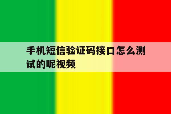 手机短信验证码接口怎么测试的呢视频 手机短信验证码接口怎么测试的呢视频