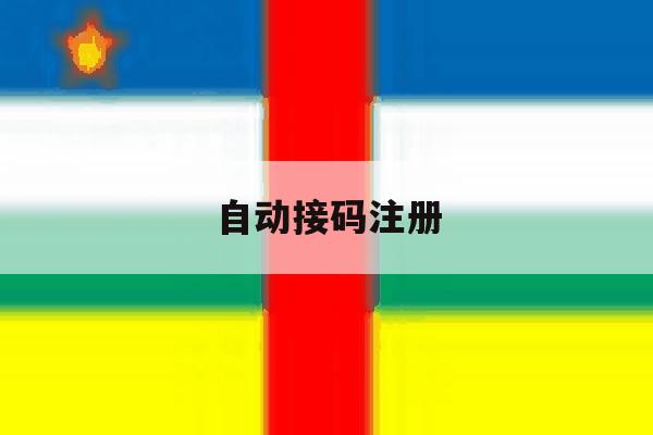 自动接码注册