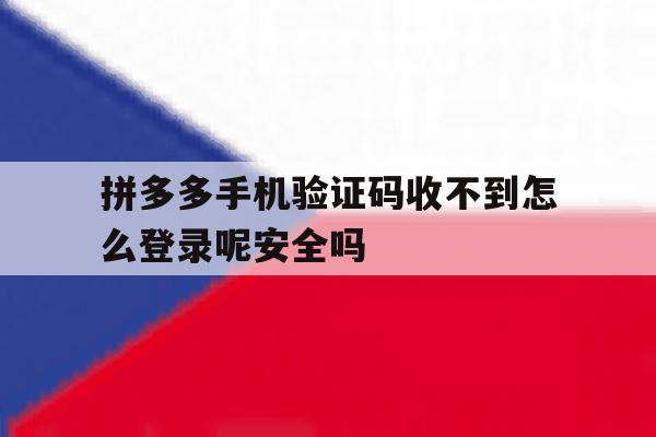 拼多多手机验证码收不到怎么登录呢安全吗的简单介绍